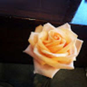 Meet your Posher, Lovey